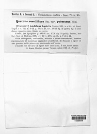 Image Associated With the Occurence